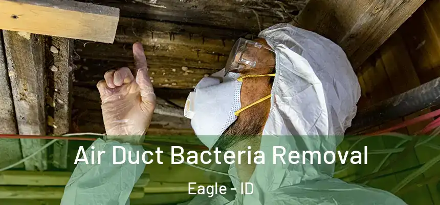 Air Duct Bacteria Removal Eagle - ID