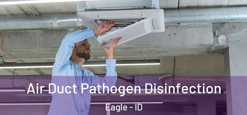  Air Duct Pathogen Disinfection Eagle - ID