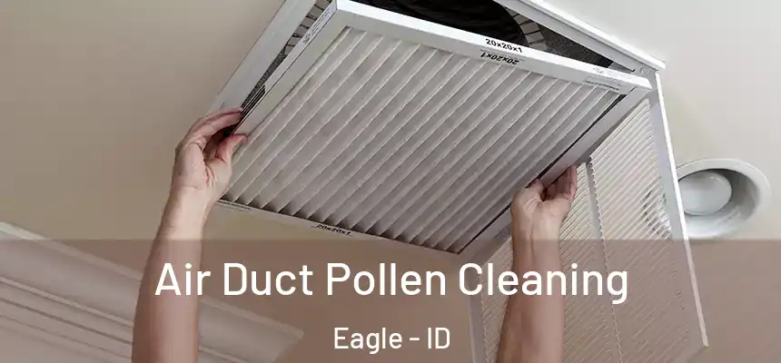  Air Duct Pollen Cleaning Eagle - ID