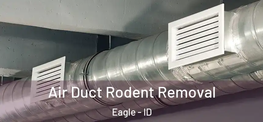  Air Duct Rodent Removal Eagle - ID