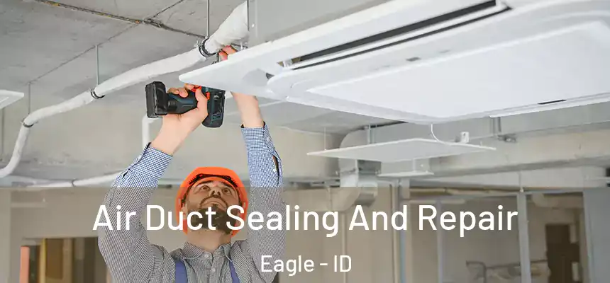  Air Duct Sealing And Repair Eagle - ID