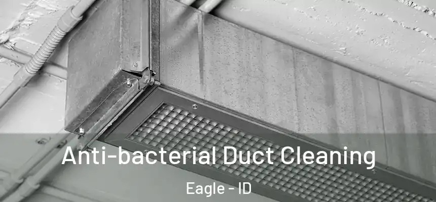  Anti-bacterial Duct Cleaning Eagle - ID