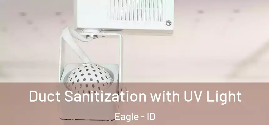  Duct Sanitization with UV Light Eagle - ID