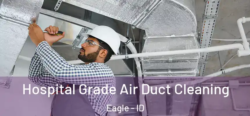  Hospital Grade Air Duct Cleaning Eagle - ID