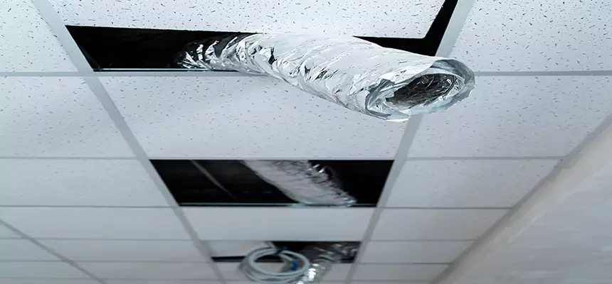 Affordable HVAC Sanitizing After Pest Removal in Eagle