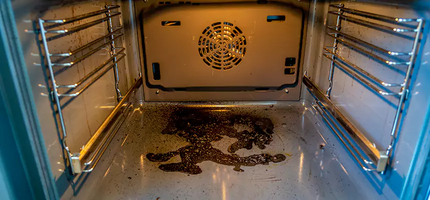 Our Dryer Vent Mold Cleaning Services in Eagle, ID