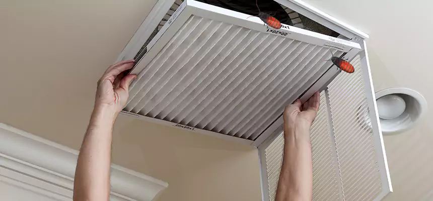 Our Insect Removal from Air Ducts Services in Eagle, ID