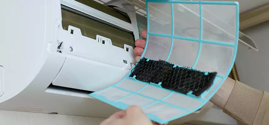 Gentle Ductwork Odor-Control Pet Dander Duct Cleaning in Eagle, ID