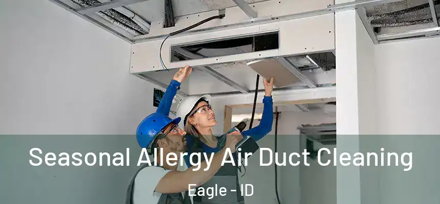  Seasonal Allergy Air Duct Cleaning Eagle - ID