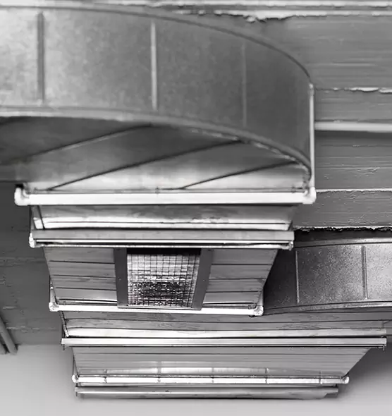 Professional Air Duct Pest Removal in Eagle, ID