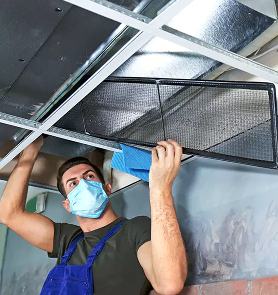Professional Air Duct Pollen Cleaning in Eagle, ID