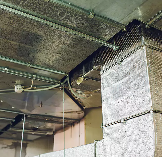 Why Homeowners & Businesses Trust Us in Eagle, ID?