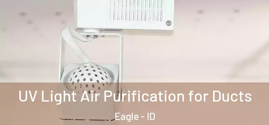  UV Light Air Purification for Ducts Eagle - ID